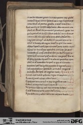 Blatt 134v