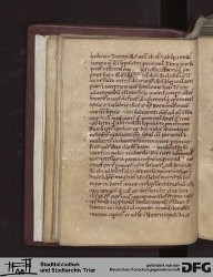 Blatt 12v