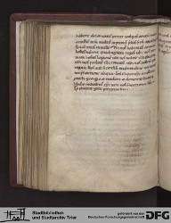 Blatt 117v