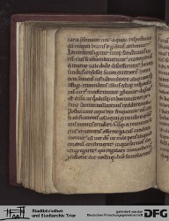Blatt 135v