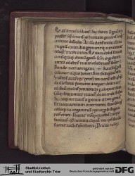 Blatt 137v