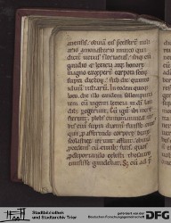 Blatt 151v