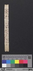 Herausgelöstes Fragment IVv