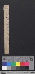 Herausgelöstes Fragment VIIIr