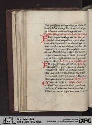 Blatt 31v