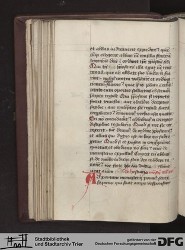 Blatt 41v