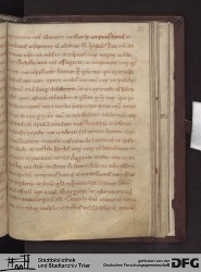 Blatt 81r