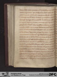 Blatt 81v