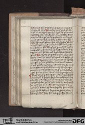 Blatt 91v