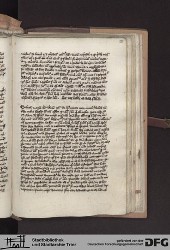 Blatt 175r