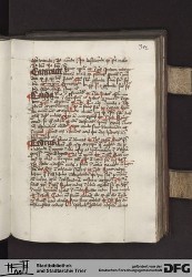 Blatt 355r