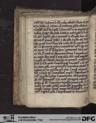 Blatt 33v