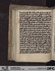 Blatt 36v