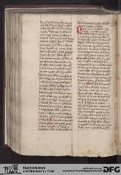 Blatt 205v