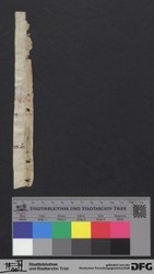 Herausgelöstes Fragment IIv