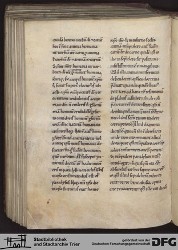 Blatt 146v