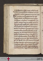 Blatt 48v
