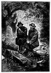 Sarcany und Zirone schwiegen erstlich... (S. 13.)