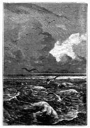Schwimmende Leichname im Meer. (S. 224.)