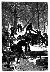 Die jungen Holzfäller gingen an die Arbeit. (S. 188.)