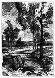 Der Ballon hatte sich an einen Baum, die Spirituslampe setzte ihn in Brand. (S. 164.)