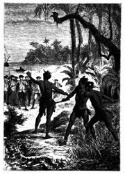 Drei Indianer stürzten aus dem Walde hervor. (S. 165.)