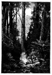 Die Jervis-Bai, wo man prächtige Eukalypten-Wälder fand. (S. 368.)