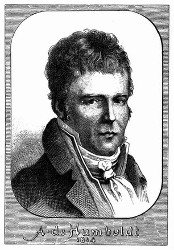 Porträt von A. v. Humboldt. [Facsimile. Alter Kupferstich.] (S. 495.)