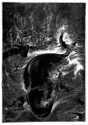 .Der Wal ist arg verwundet und das Wasser färbt sich röthlich... (S. 140.)