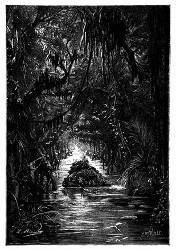 Die Fahrt durch den überschwemmten Wald. (S. 173.)
