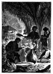 Die Indianer räuchern ihn über einem Feuer von Palmenfrüchten. (S. 163.)