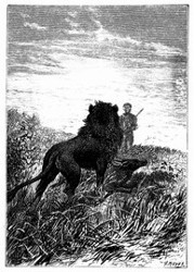 Der Löwe wurde Dick Sand gewahr. (S. 430.)
